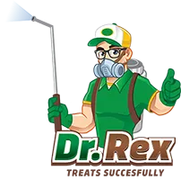 Pest Control Ahmedabad