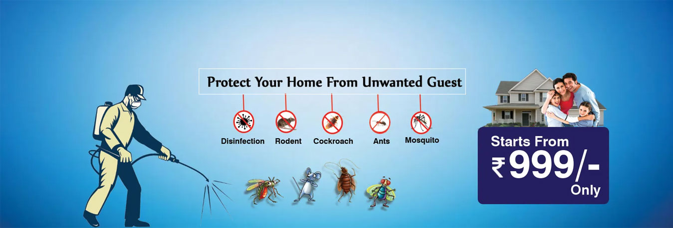 3 Best Pest Control Services in Ahmedabad